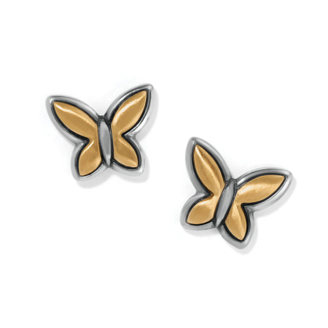 Brighton: Goldie Wings Mini Post Earrings