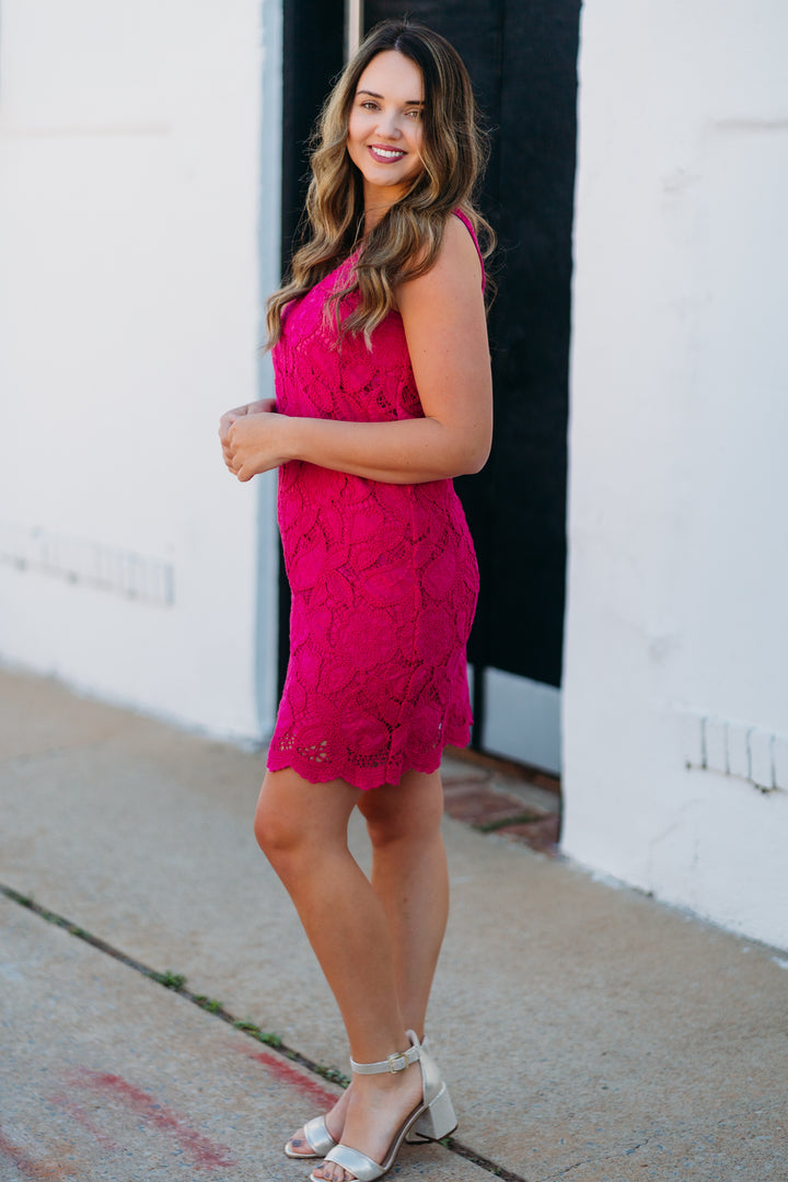 Karen Kane: Lace Shift Dress in Dark Pink 2L70216