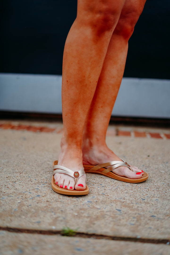 Reef: Pacific Joy in Golden Hour