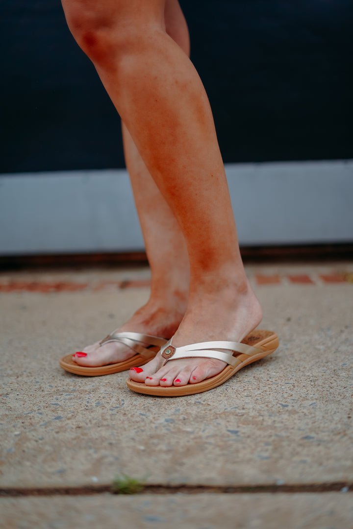 Reef: Pacific Joy in Golden Hour