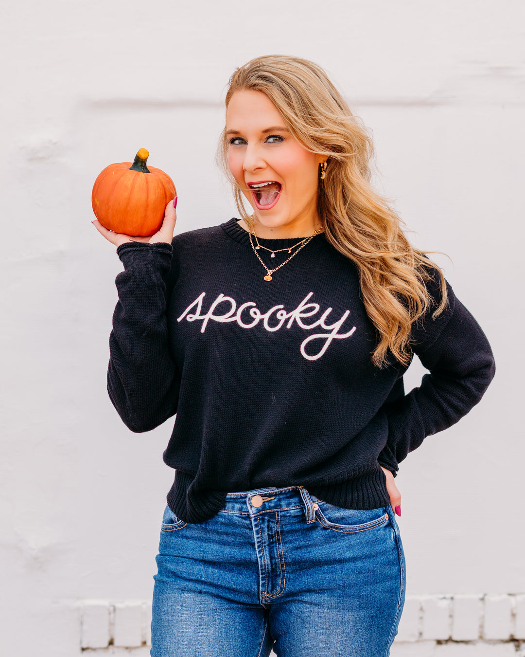 Z Supply: Sienna Spooky Sweater in Black