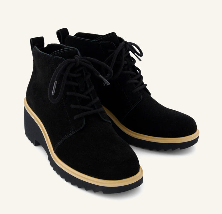 Toms: Maude Lace Up in Black