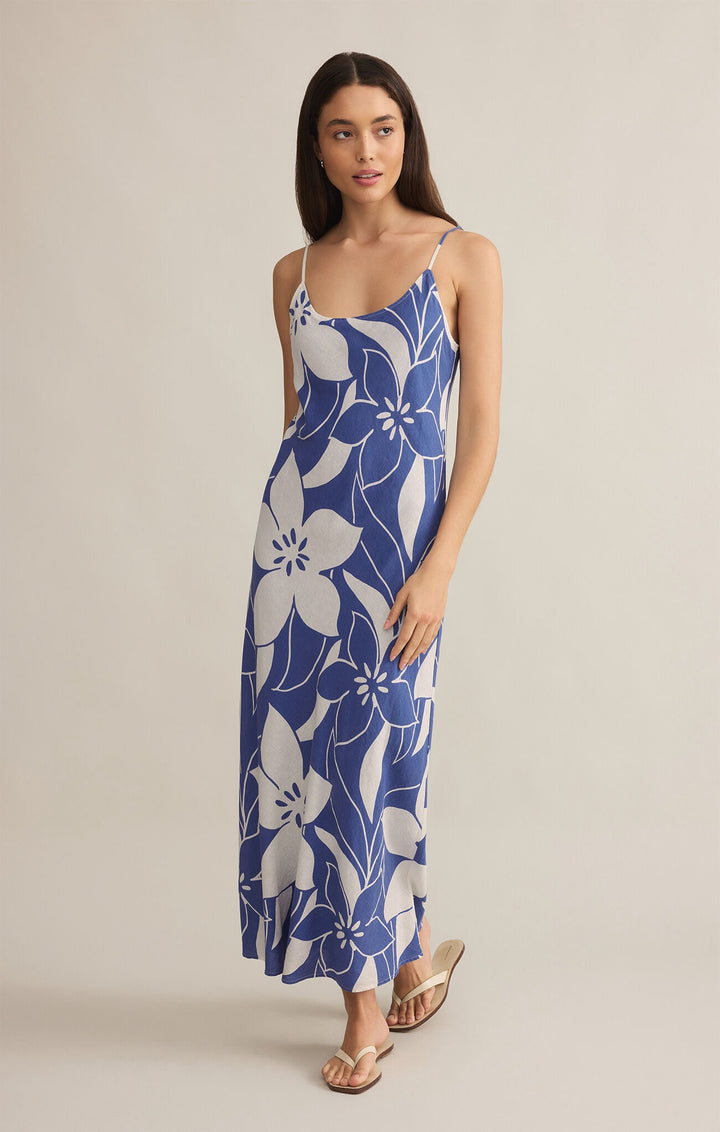 Z Supply: Cecily Madero Maxi Dress in Riviera