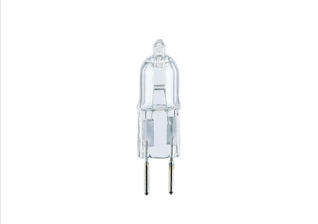 Oil Lamp Light Bulbs