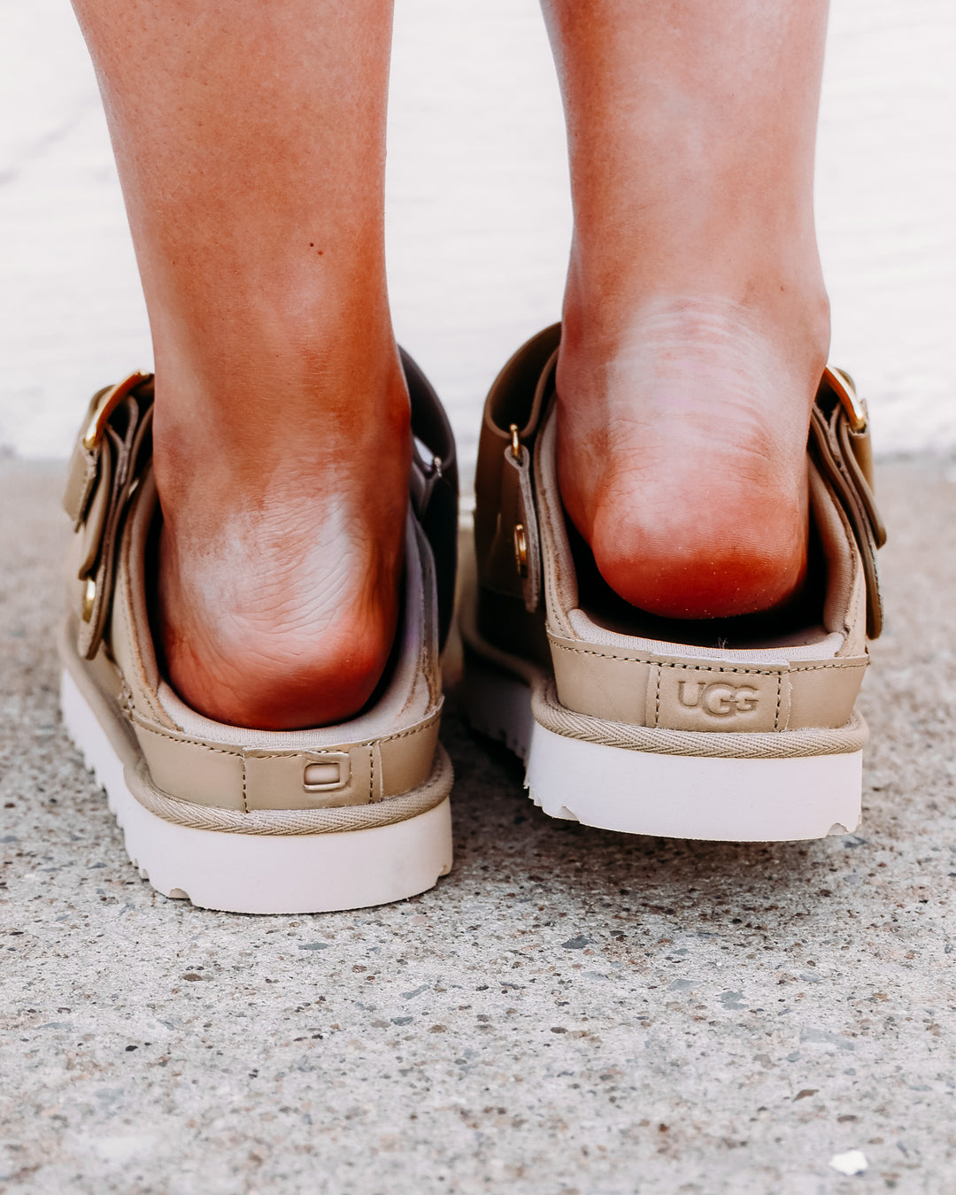 UGG: W Goldenstar Villa Clog in Mustard Seed (1169590)