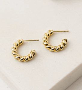 Lovers Tempo: Dawson Hoop Earrings in Gold