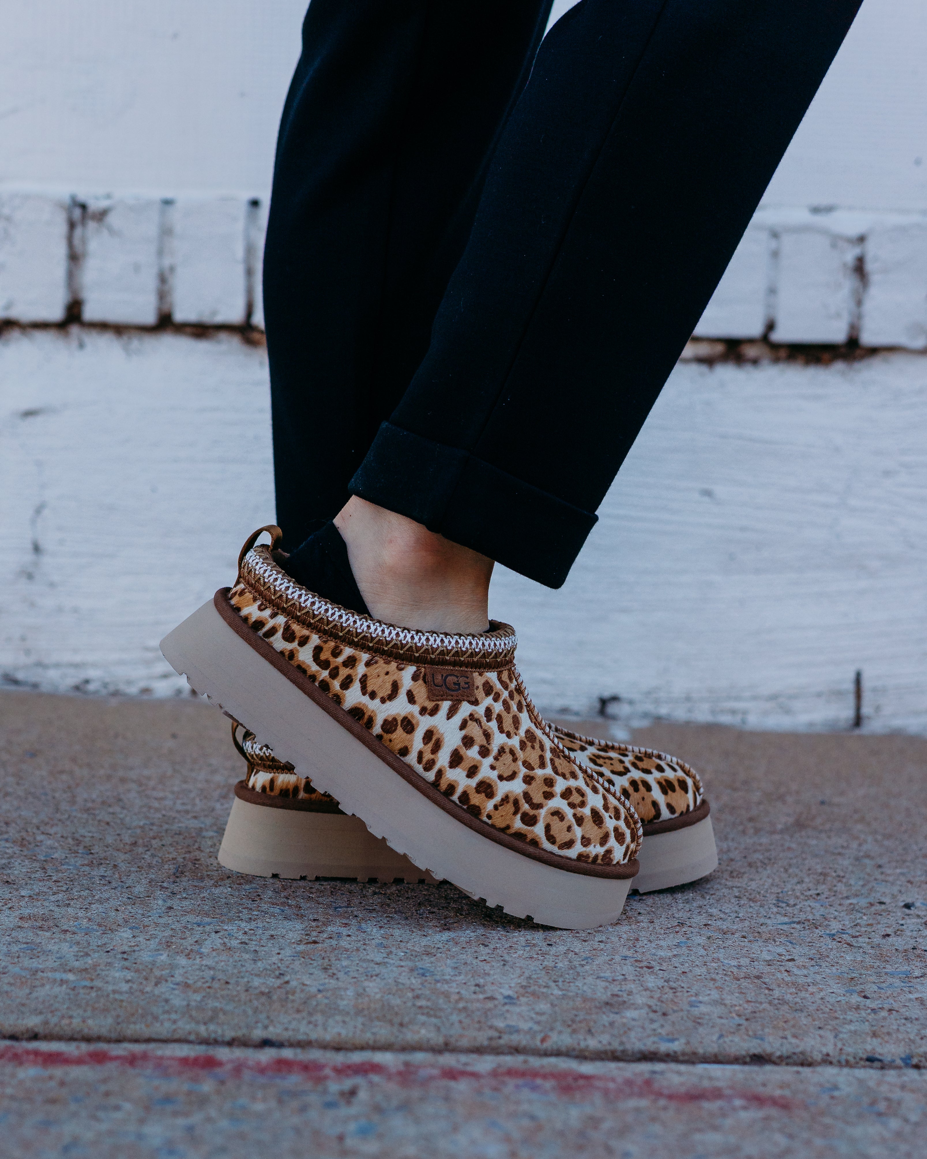 Ugg Tazz Plains in Felicity Leopard Jasmine - Vogue Boutique – The