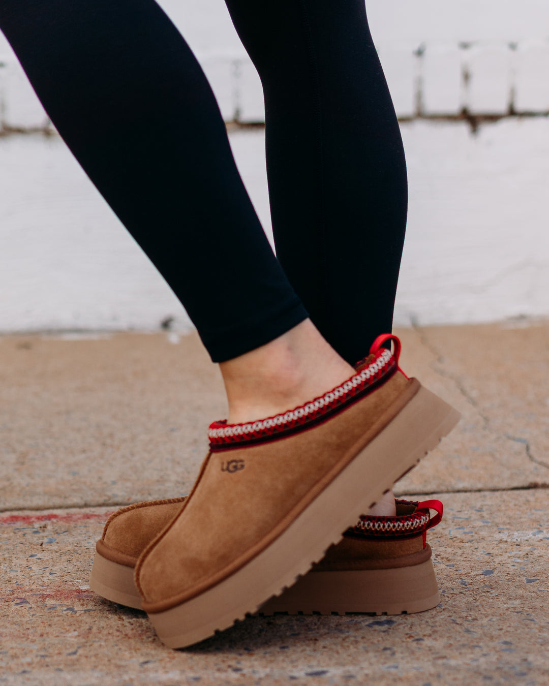 UGG: Tazz Platform Slipper in Chestnut