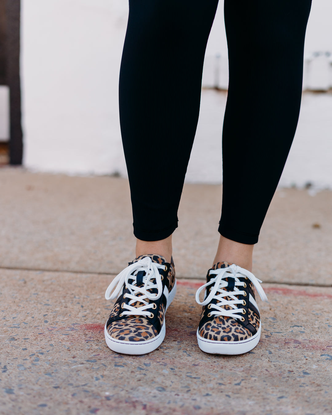 Johnny Was: Leopard Everyday Sneaker in Leopard