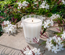 Load image into Gallery viewer, Nest: Classic Candle in Indian Jasmine 8.1oz
