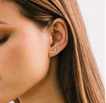 Load image into Gallery viewer, Lovers Tempo: Crown Climber Earrings In Clear
