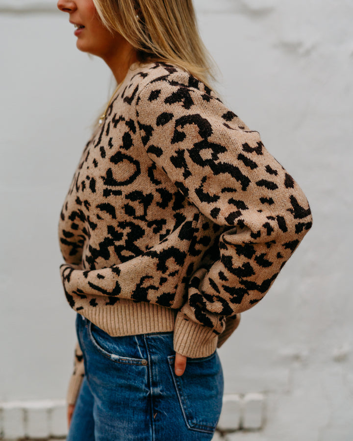Kut: Gisela Animal Print Pullover Sweater in Beige and Brown