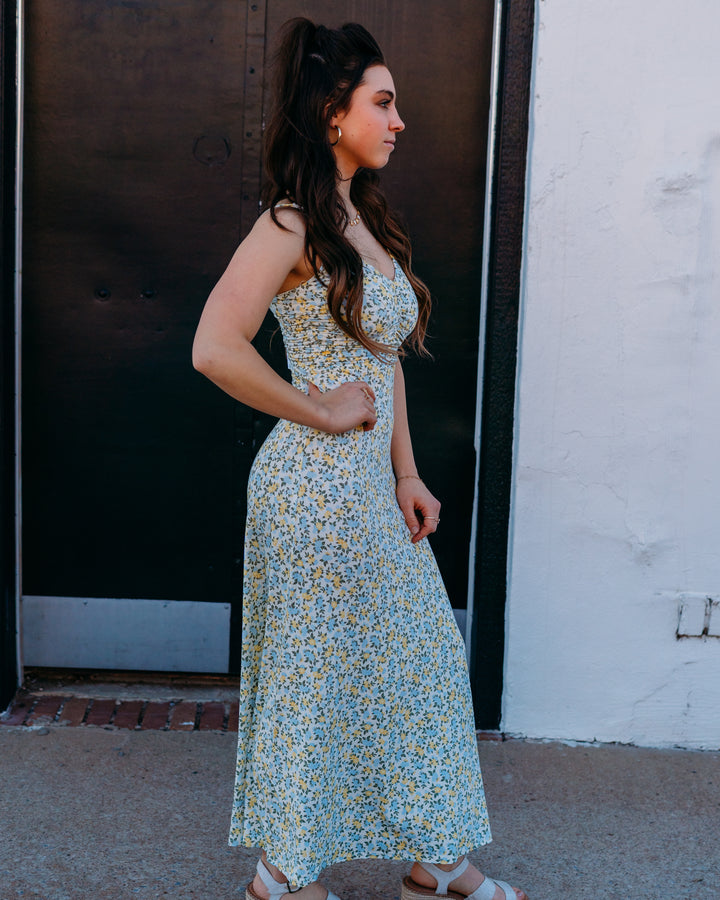 Z Supply: Faya Idra Ditsy Maxi Dress in Cloud (ZD261361) - The Vogue Boutique