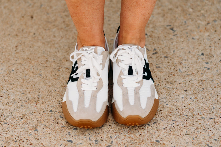 Sam Edelman: Langley Lace Up Sneaker in White/Tan/Black