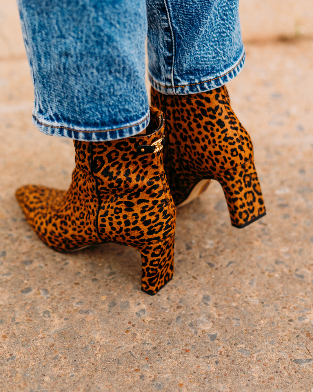 Sam Edelman: Saige Boot in Leopard Print