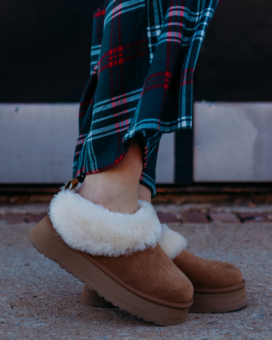 Ugg: W Tazzelle Chestnut Slippers
