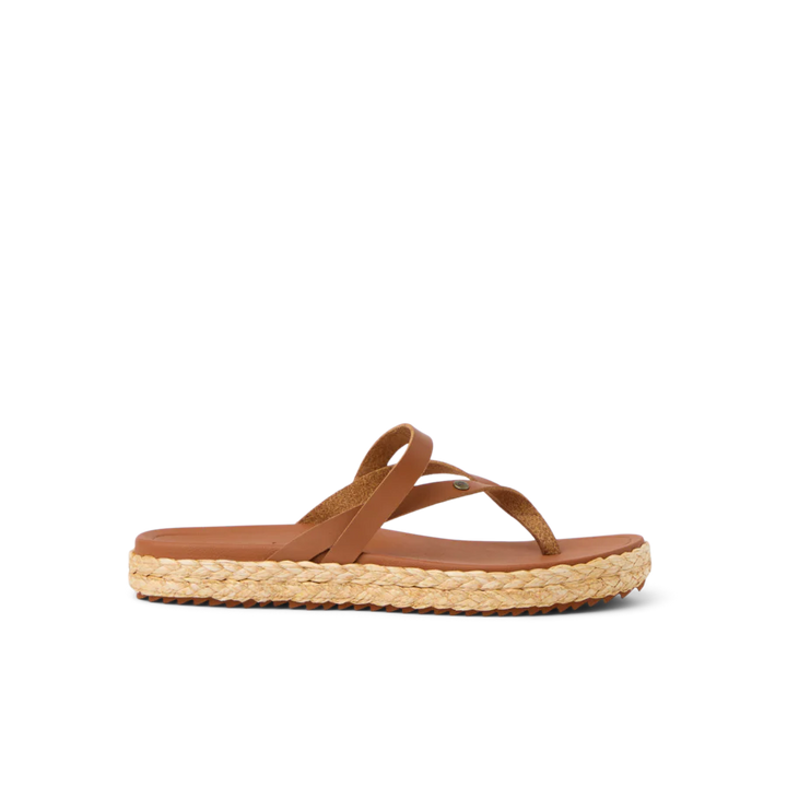 Reef: Vista Carmen in Cocoa - The Vogue Boutique