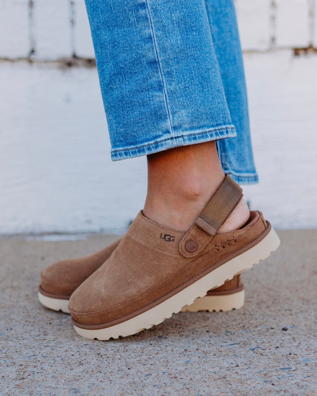Ugg: Goldenstar Clog in Chestnut