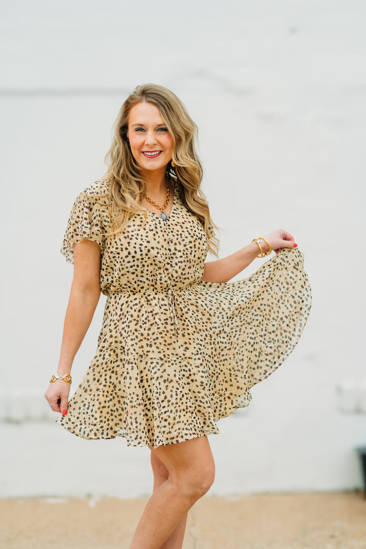 Steve Madden: Kristy Dress in Desert Sand Leopard