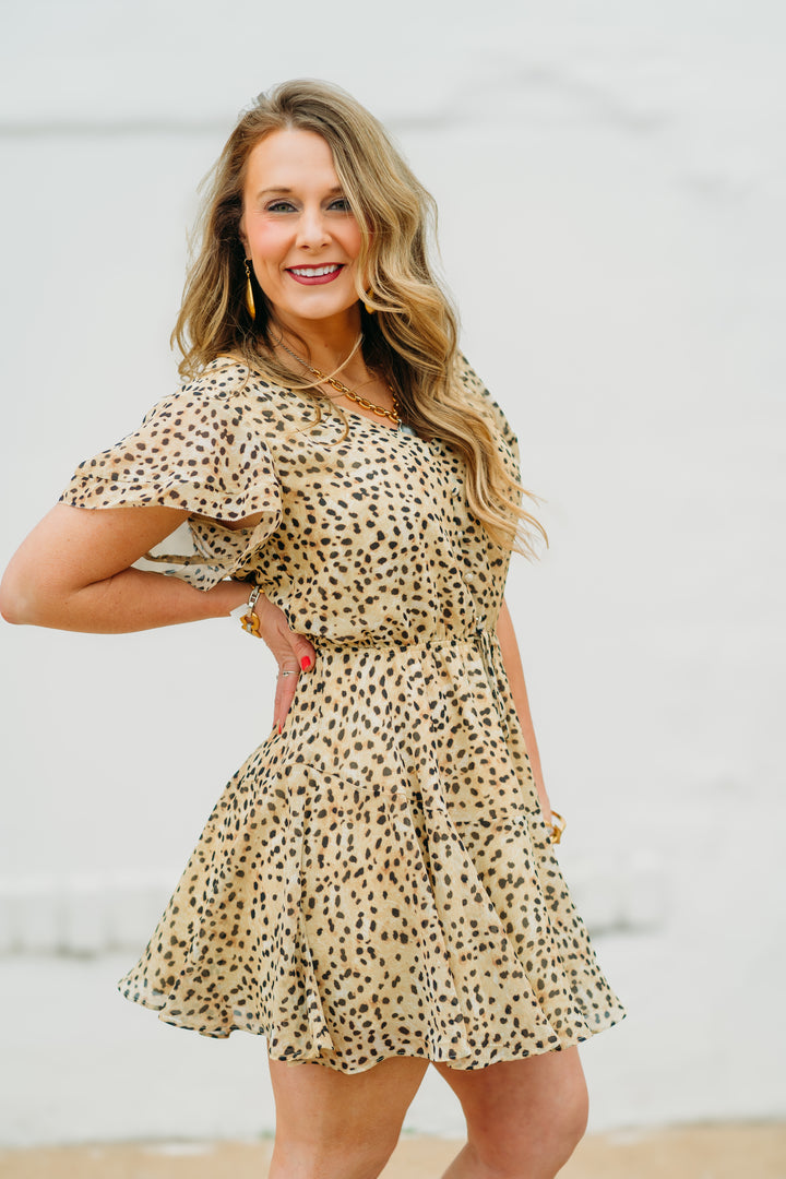 Steve Madden: Kristy Dress in Desert Sand Leopard