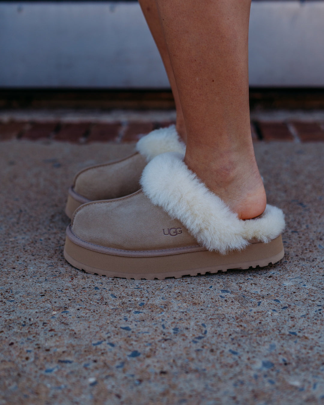 UGG: Disquette in Sand