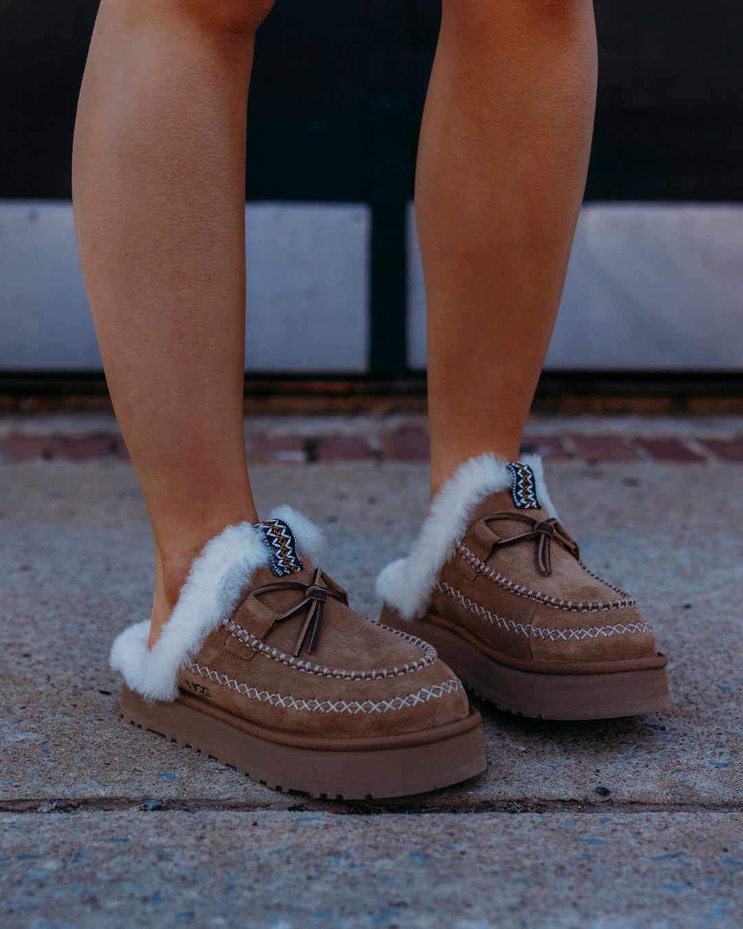 Ugg: W Disquette Alpine in Chestnut