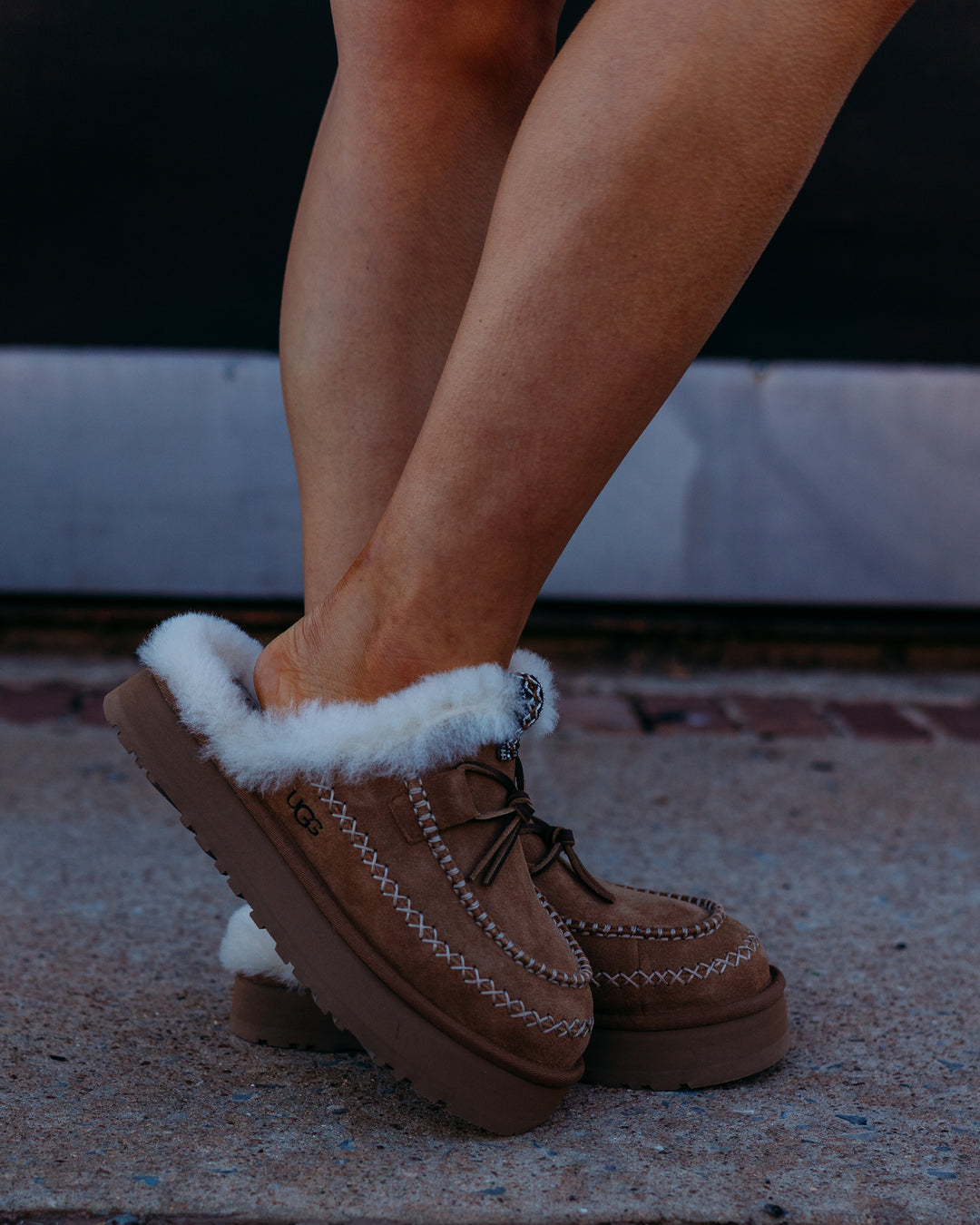 Ugg: W Disquette Alpine in Chestnut