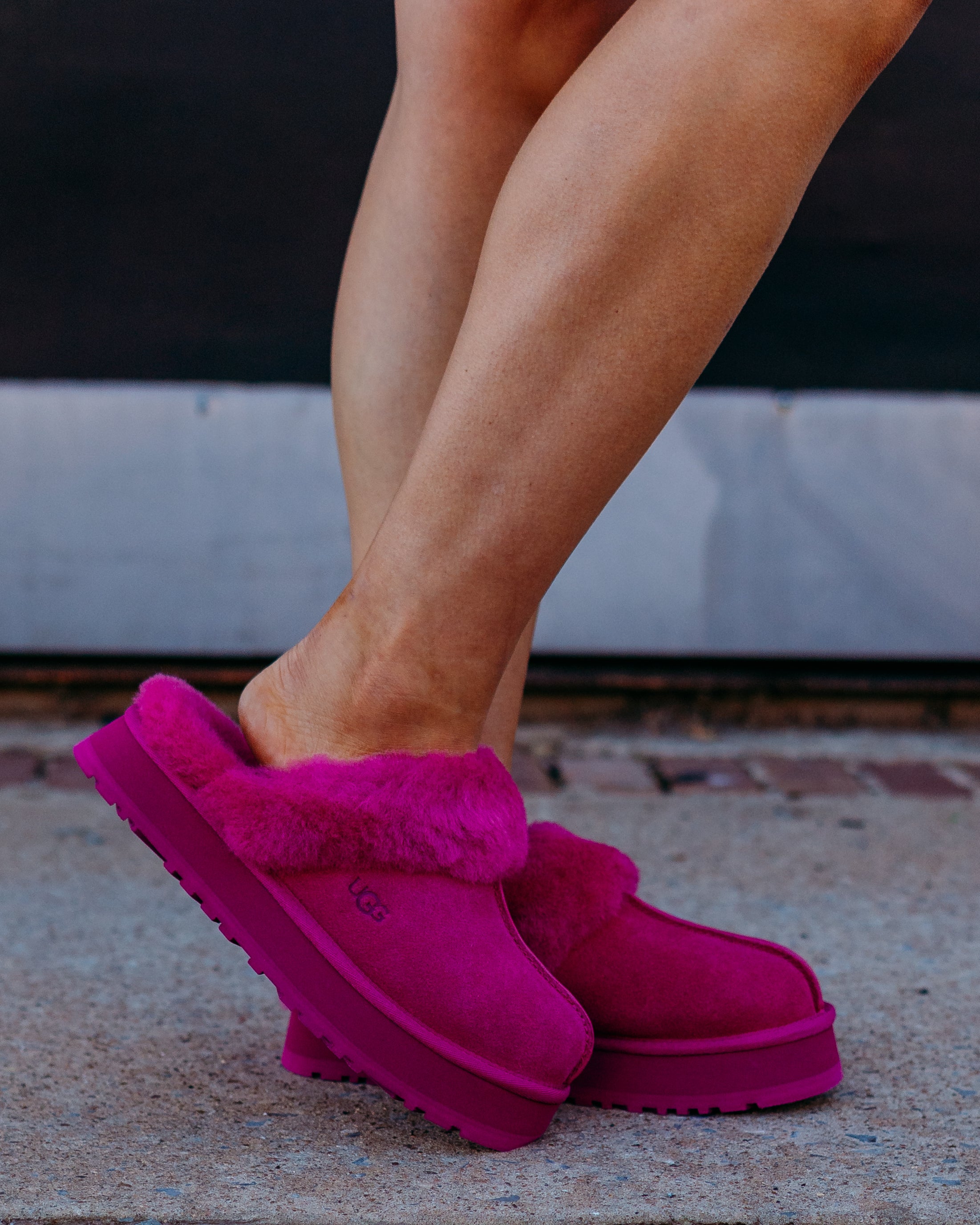 UGG W Disquette in Dark Peony - Fashionable & Cozy Slippers – The