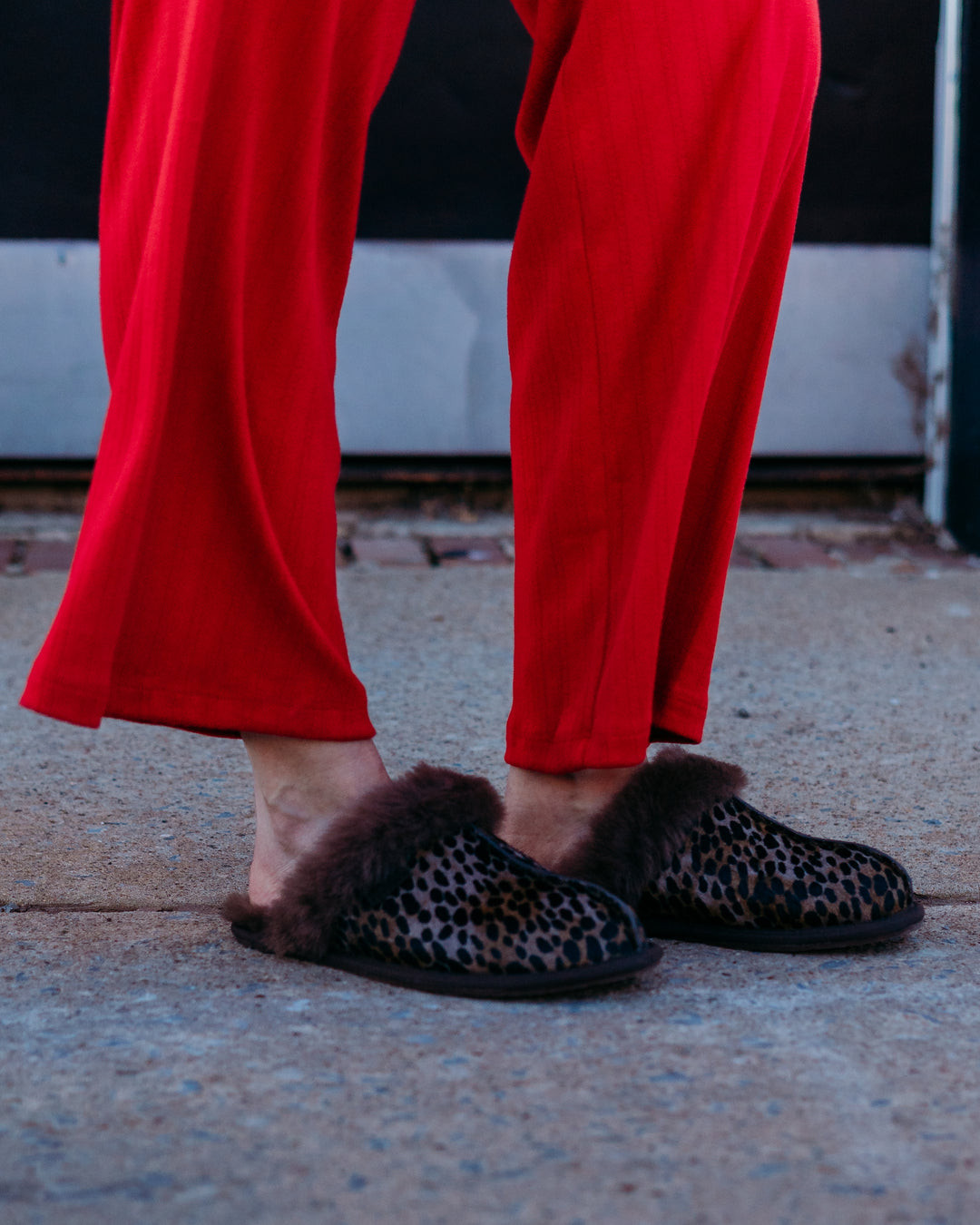 Ugg: W Scuffette Caspian in Burnt Cedar