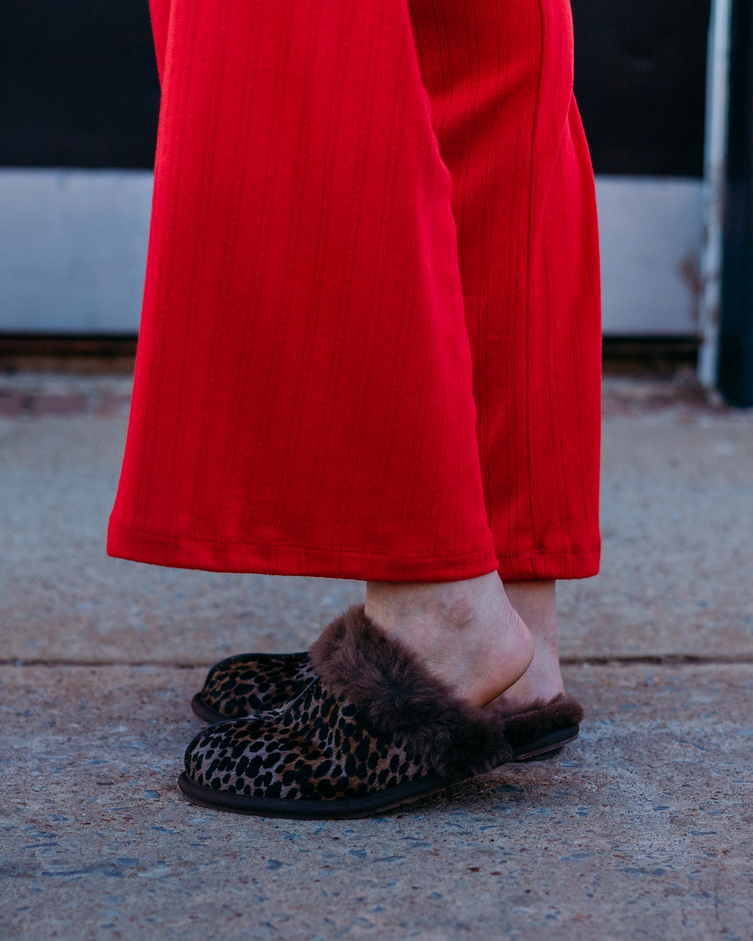 Ugg: W Scuffette Caspian in Burnt Cedar