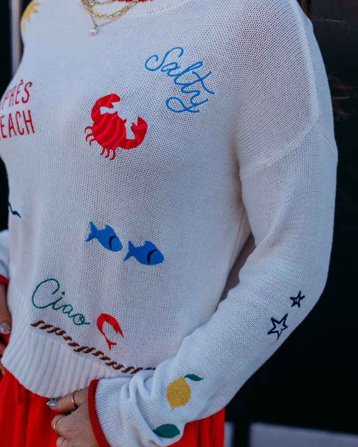 Z Supply: Seas The Day Sienna Sweater in Multi