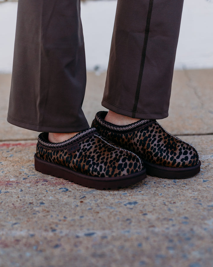 UGG: Tasman in Caspian Burnt Cedar
