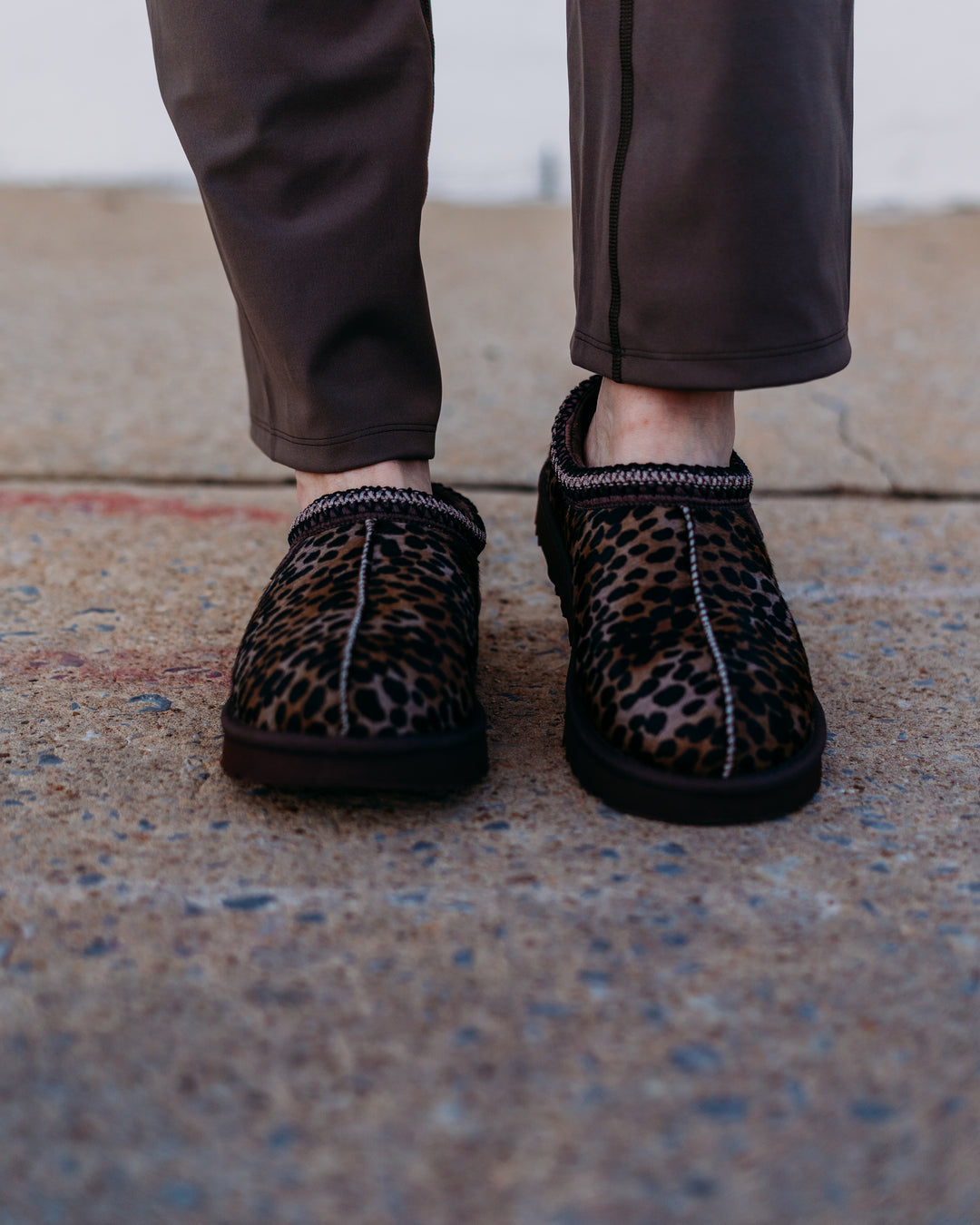 UGG: Tasman in Caspian Burnt Cedar