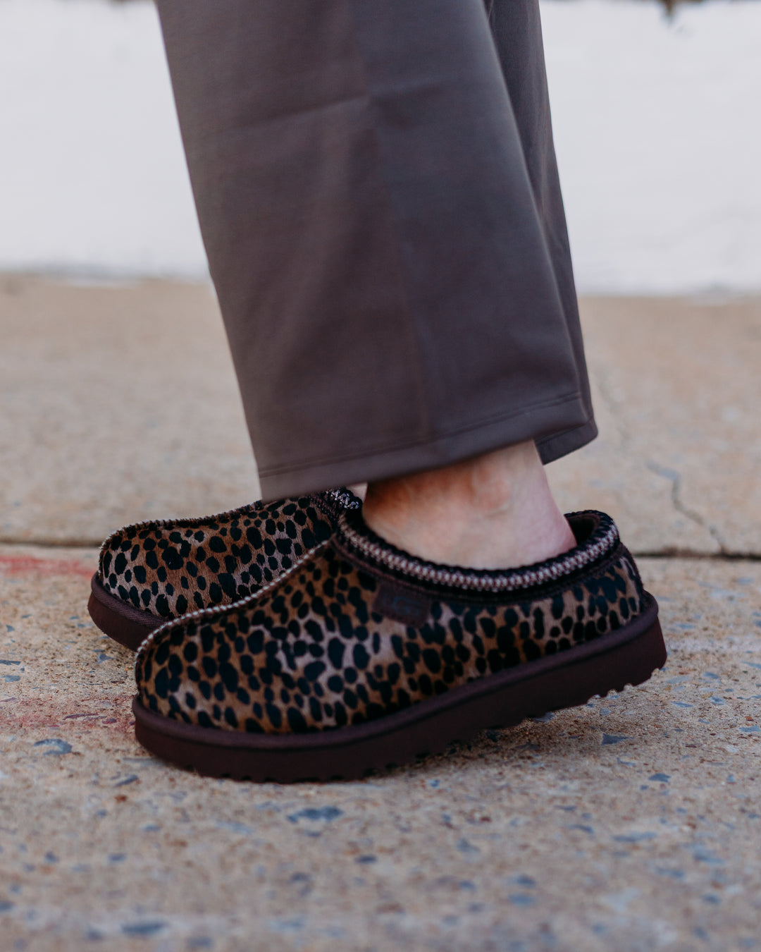 UGG: Tasman in Caspian Burnt Cedar