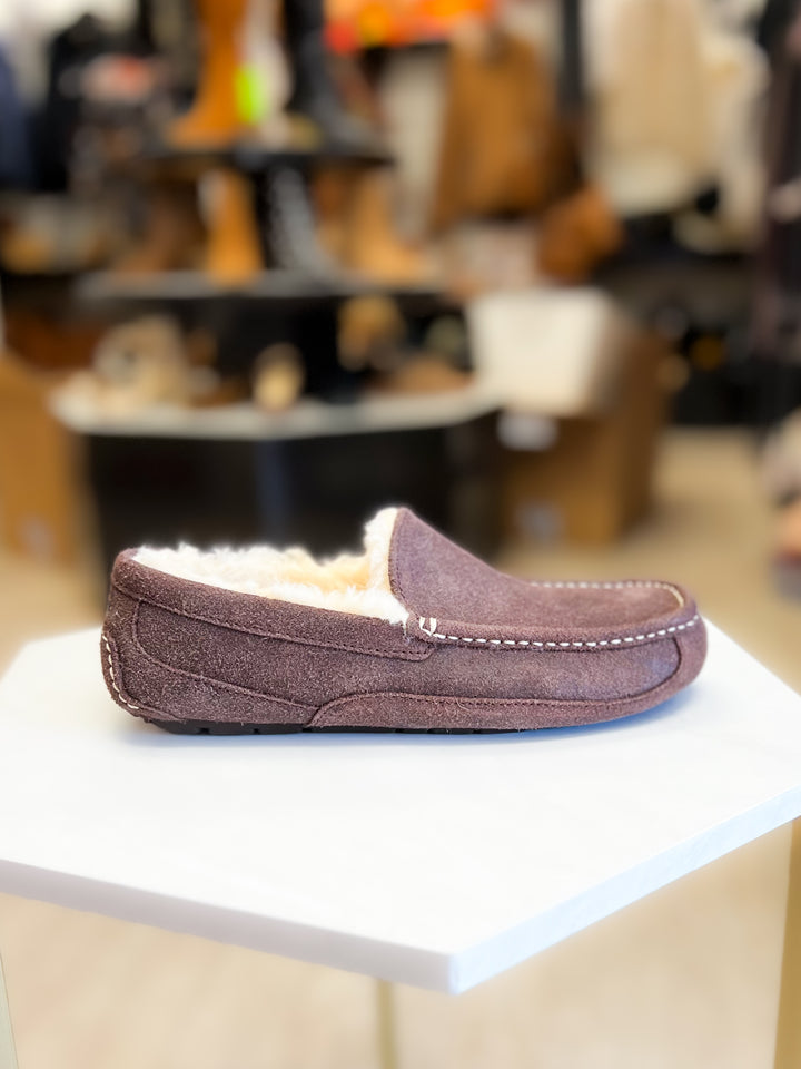 Ugg: Men Ascot Leather Distressed Slipper in Dusted Cocoa