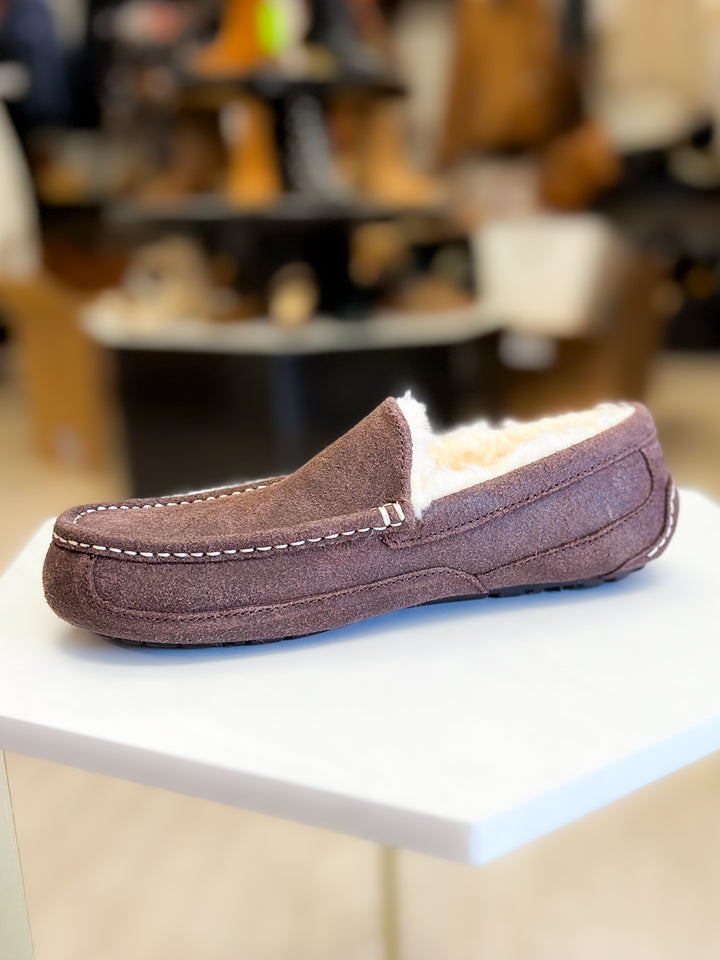 Ugg: Men Ascot Leather Distressed Slipper in Dusted Cocoa