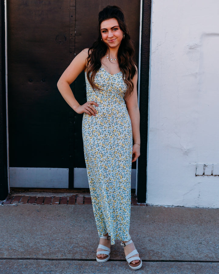 Z Supply: Faya Idra Ditsy Maxi Dress in Cloud (ZD261361) - The Vogue Boutique