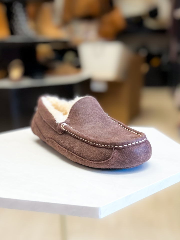 Ugg: Men Ascot Leather Distressed Slipper in Dusted Cocoa