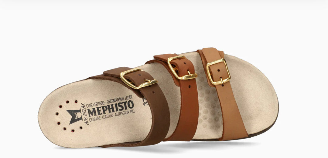Mephisto: Hyacinta in Camel3431n/c 5144740