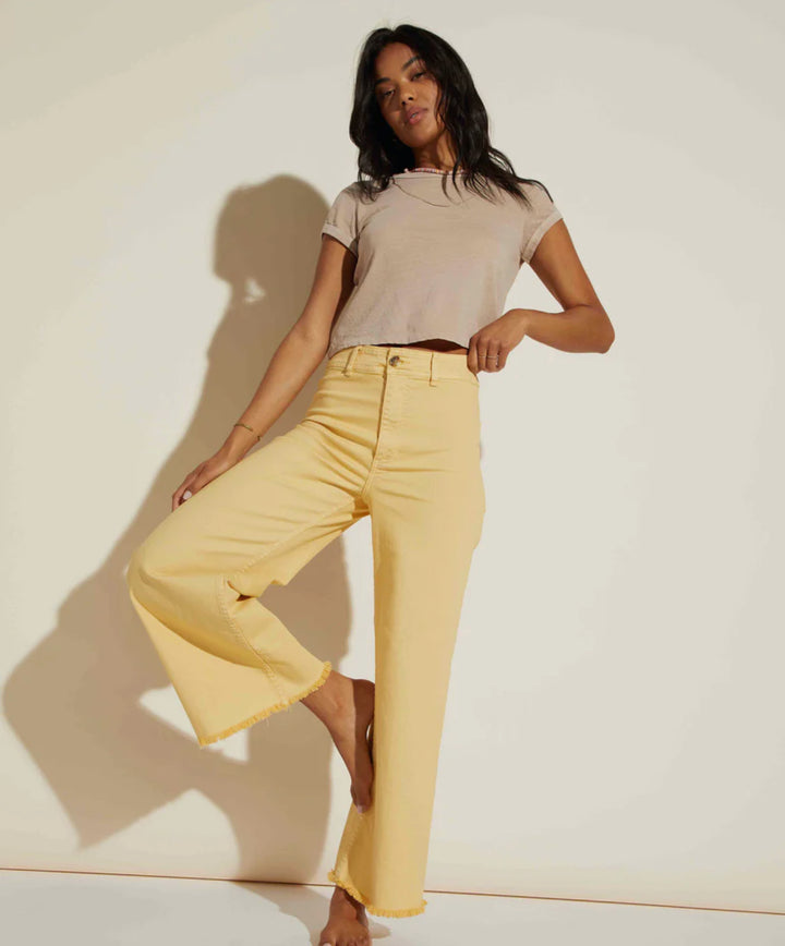 Billabong: Free Fall in Golden Rays