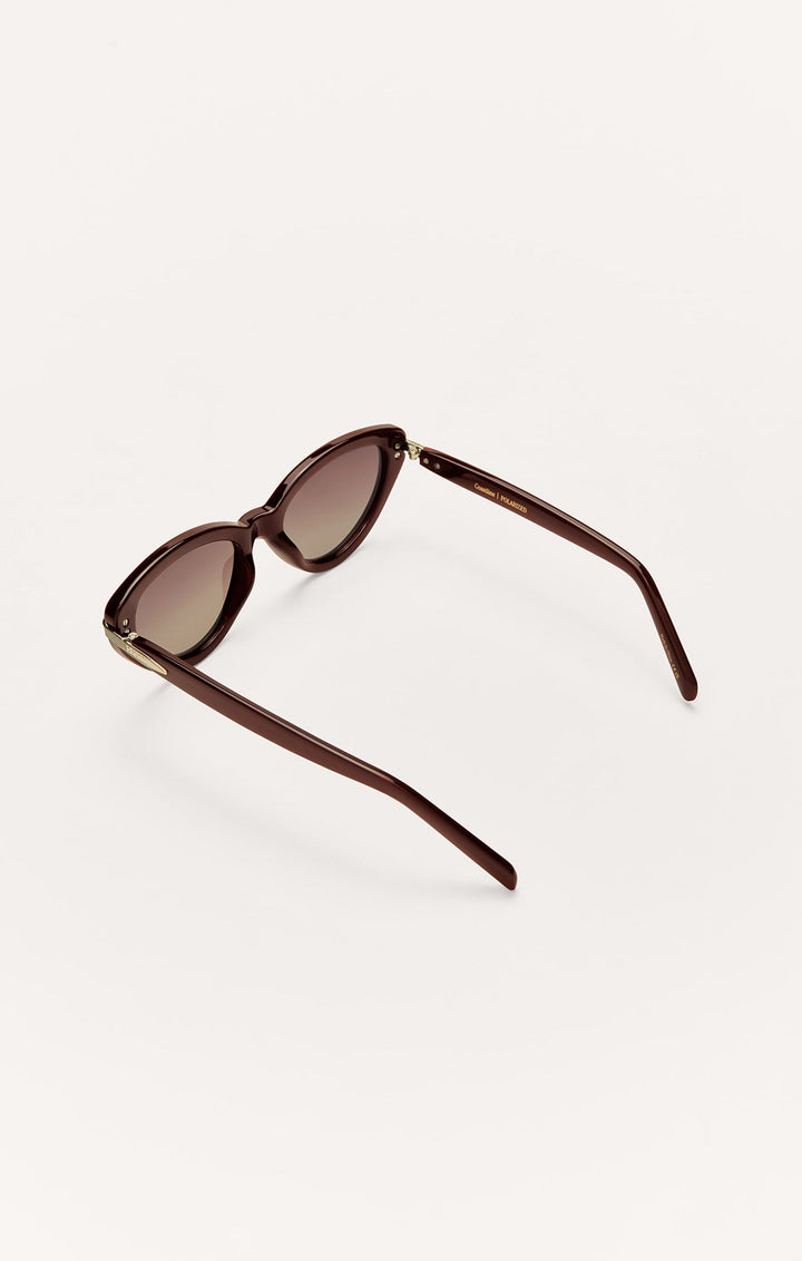 Z Supply Studio polarized sunglasses in brown tortoise with gradient brown lenses, angled back view