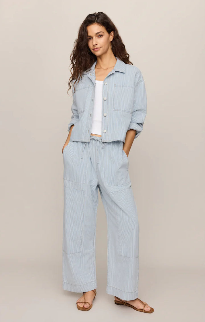 Z Supply: The Carpenter Pant in Seaboard Stripe (ZP263142)