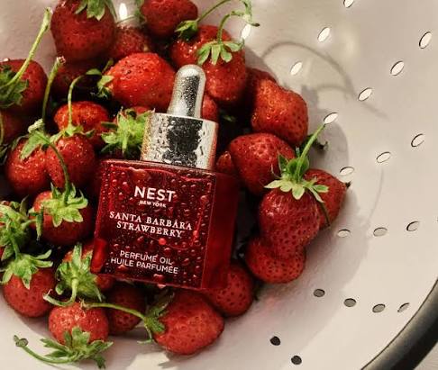 Nest: Perfume Oil in Santa Barbara Strawberry