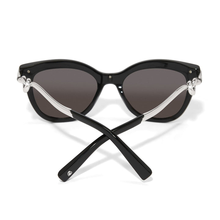Brighton: Interlok Single Knot Sunglasses (A13493)