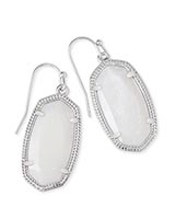 Load image into Gallery viewer, Kendra Scott: Dani Silver Drop Earrings - The Vogue Boutique
