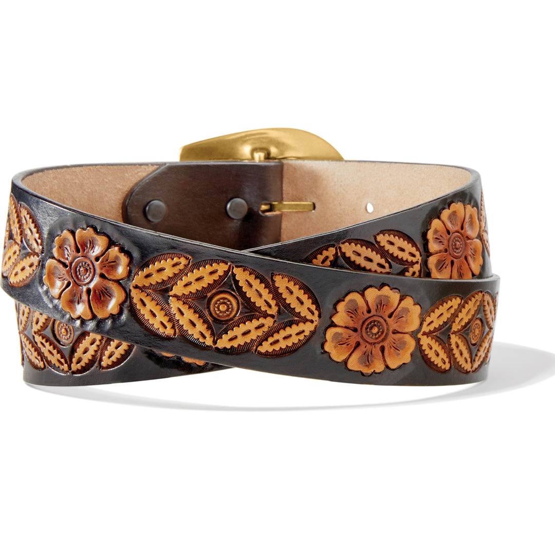 Brighton: Sienna Rae Belt - C21544 - The Vogue Boutique