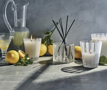 Load image into Gallery viewer, Nest: Amalfi Lemon &amp; Mint Classic Candle
