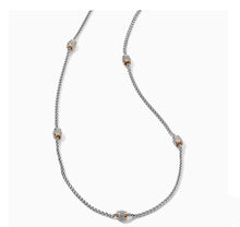 Load image into Gallery viewer, Brighton: Meridian Two Tone Long Necklace
