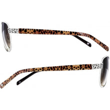 Load image into Gallery viewer, Brighton: Sugar Shack Leopard Sunglasses A1209A
